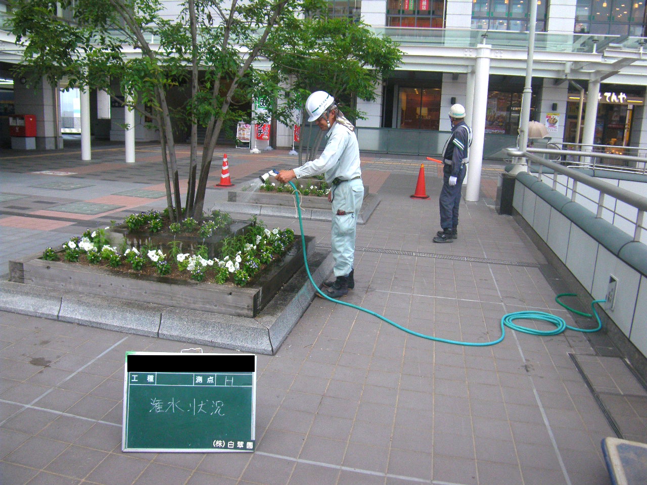 庭木剪定・管理