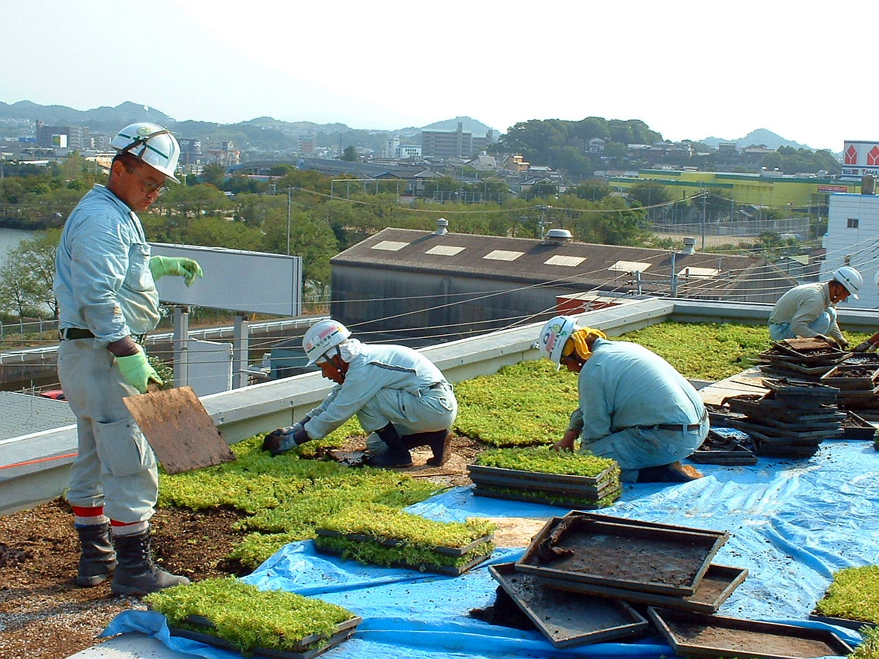 老人ホーム屋上緑化 関連画像 1