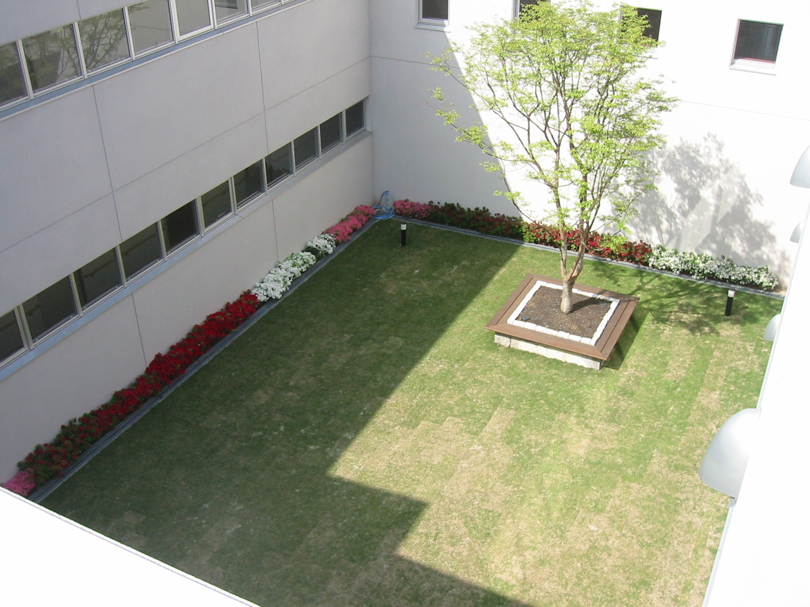 老人ホーム屋上緑化 関連画像 2