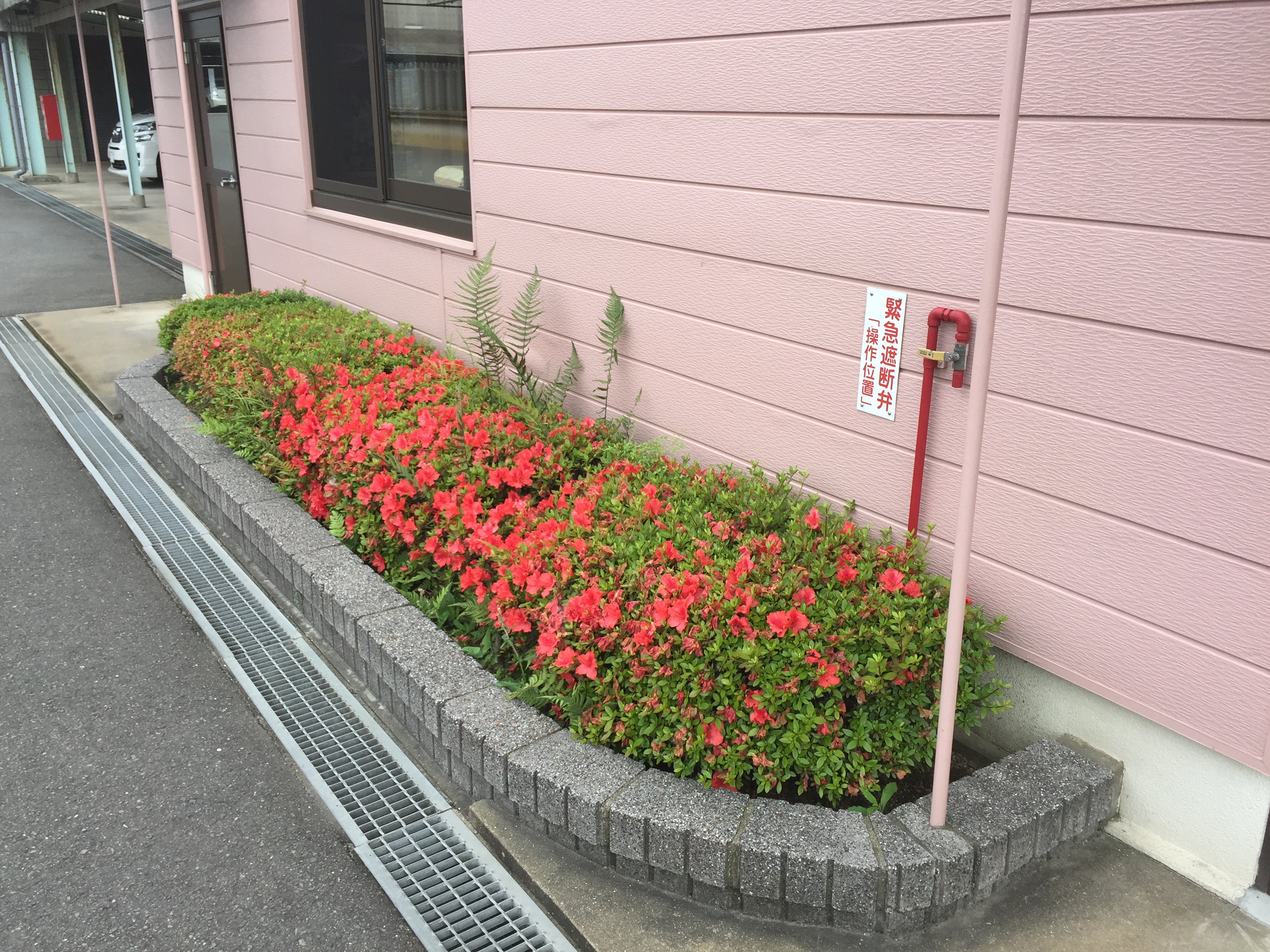 オフィス緑化工事 関連画像 2