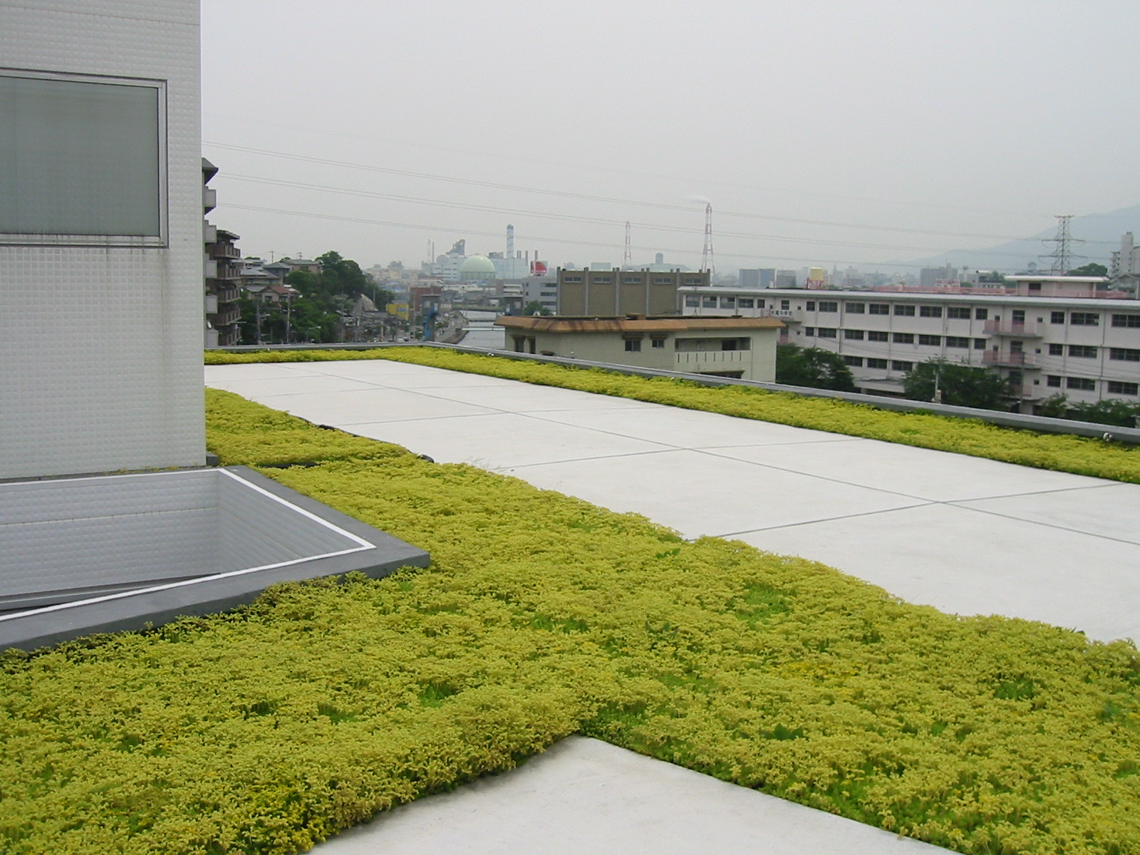 老人ホーム屋上緑化 関連画像 4